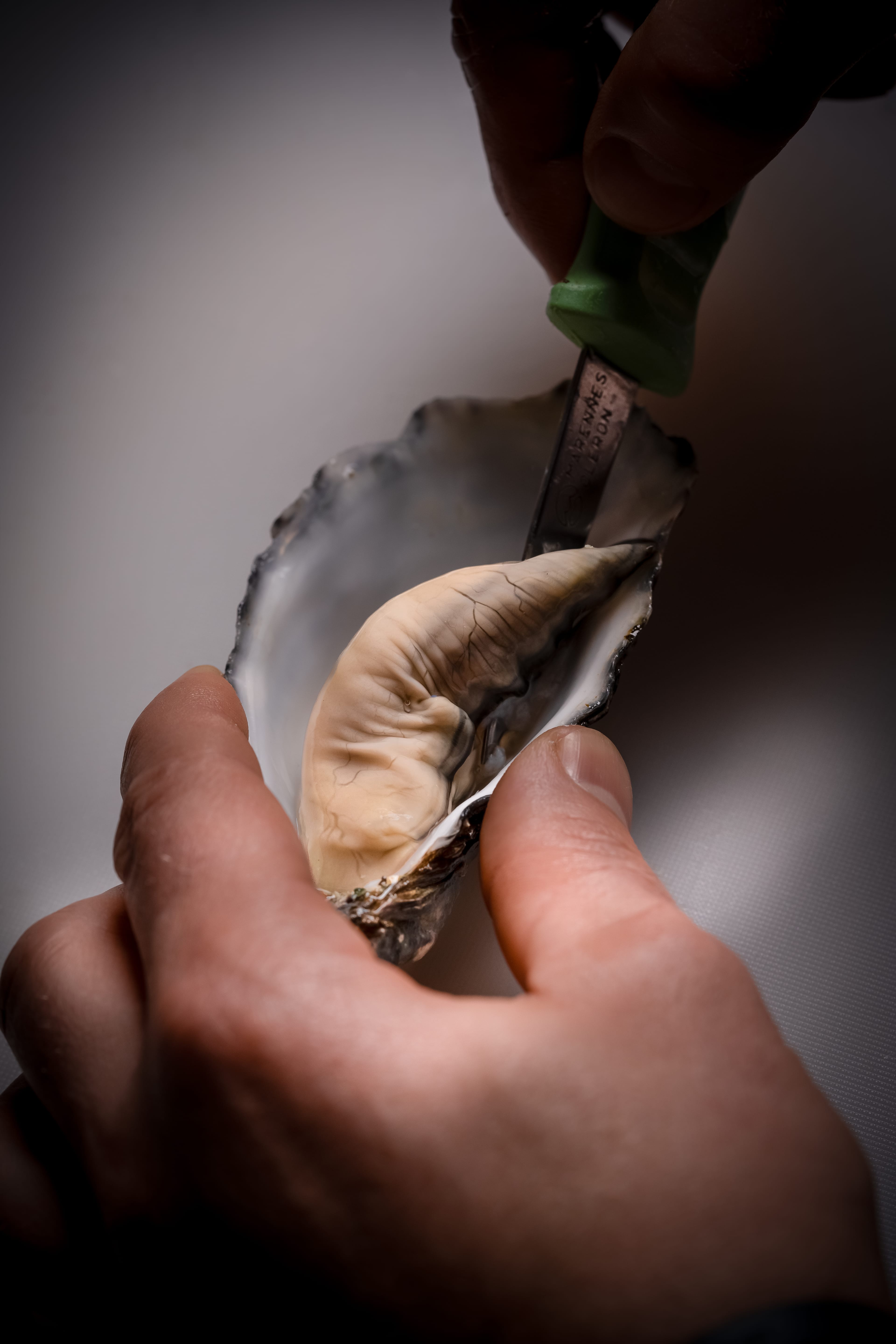 Modern restaurant food composition photographed in studio light